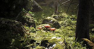 The Last Saviour: Search of Truth