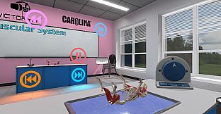 Dissection Simulator: Pig Edition