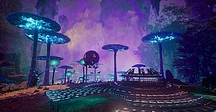 Mystic Grove