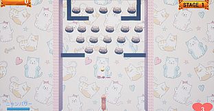 Challenge from the Black Cat