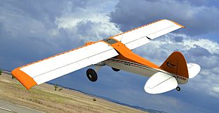 RealFlight Evolution - E-flite Carbon-Z Cub SS 2.1m