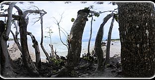 Exhale XR - Soul Shine