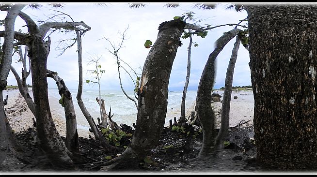 Exhale XR - Soul Shine