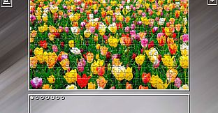 Super Jigsaw Puzzle: Generations - Colorful 3