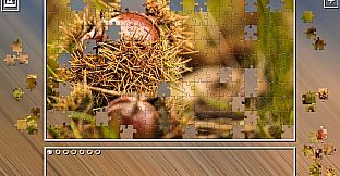 Super Jigsaw Puzzle: Generations - Autumn 2021