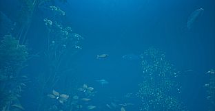 Bassmaster Fishing 2022: Lake Hartwell