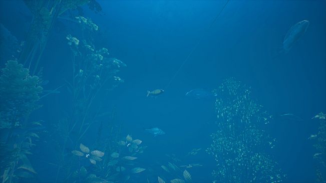 Bassmaster Fishing 2022: Lake Hartwell