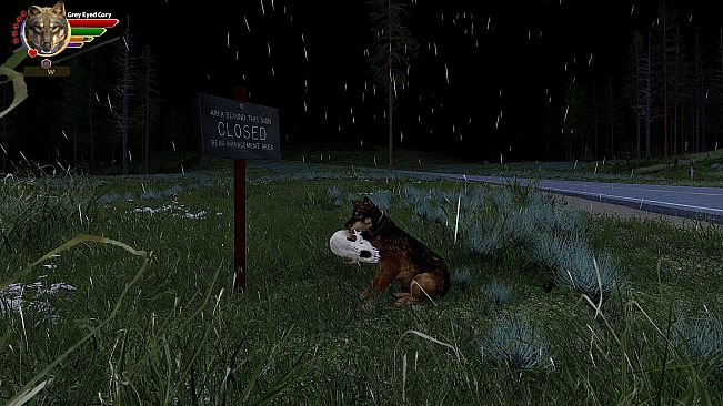 WolfQuest Anniversary - Tower Fall