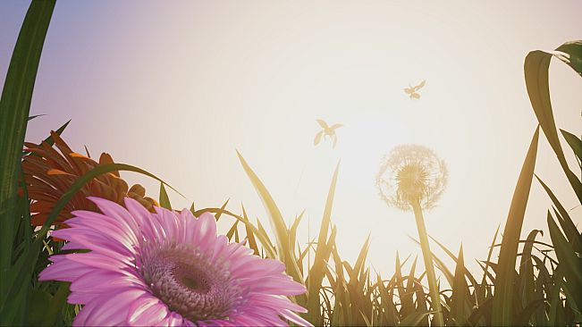 Insects: An Xbox One X Enhanced Experience