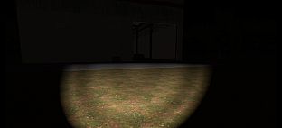 The Home: Into The Woods