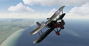 Rise of Flight: Ace Pack