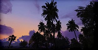 FSX: Steam Edition - FTX Trees HD Add-On