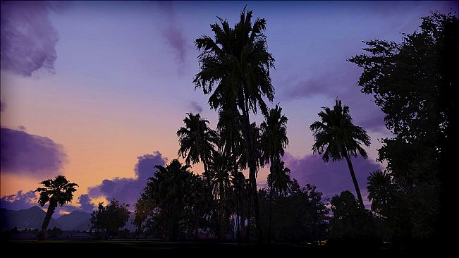 FSX: Steam Edition - FTX Trees HD Add-On