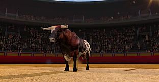 TORO 2 (BULL 2)