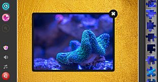 Under the Sea Jigsaw Puzzles