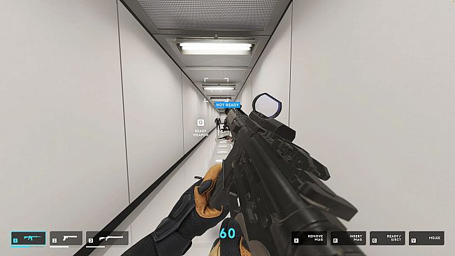 They Killed Your Cat