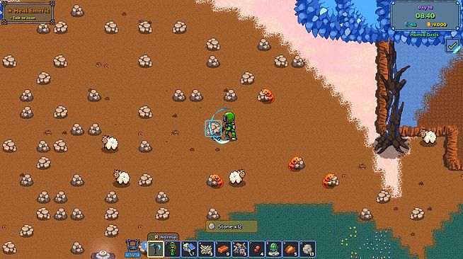 Oasis Bloom