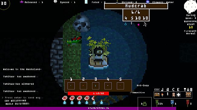 Moon & The Fractured Reincarnation