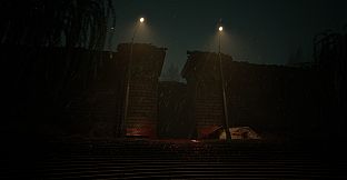 Reverie: Who will Remember You