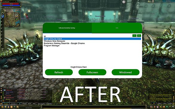 Fullscreen Borderless Gaming
