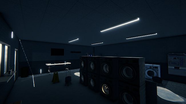 Cycle 8: The Laundromat Anomaly