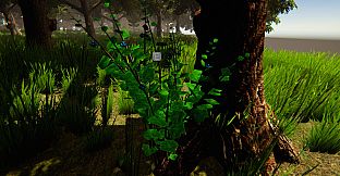 Uncanny Islands