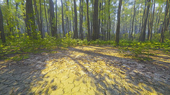 Mindfulness Simulator - ASMR Meditation Game