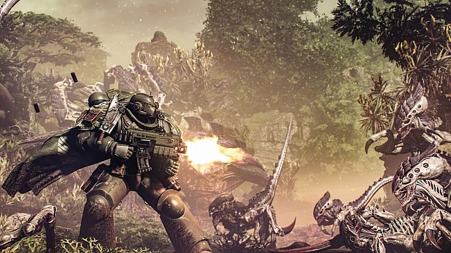 Warhammer 40,000: Space Marine 2 - Raptors Cosmetic Pack