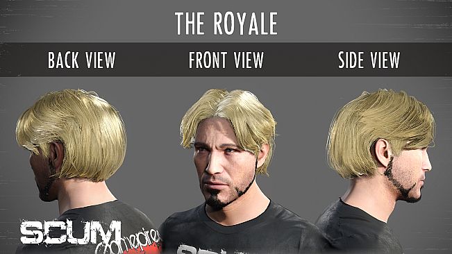 SCUM Male Hair Pack