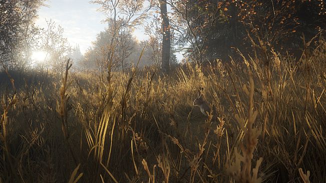 theHunter: Call of the Wild - New Species 2018