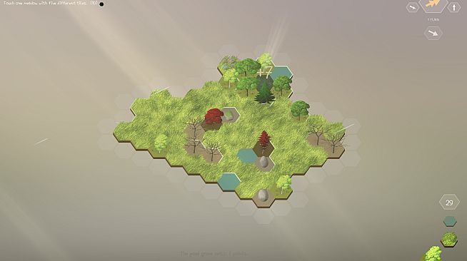 Little Groves