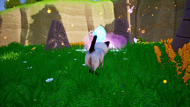 Cat Go! Ultimate Challenge