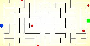 Chronomaze: Gravity Maze