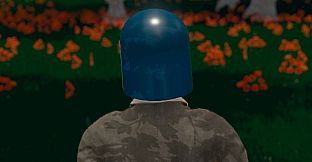 Hide and Seek - Riot Helmet