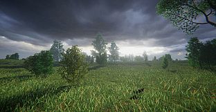 LONELINESS SIMULATOR IN THE RUSSIAN VILLAGE