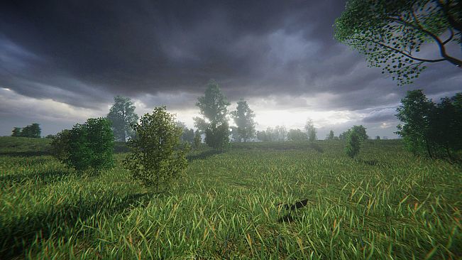 LONELINESS SIMULATOR IN THE RUSSIAN VILLAGE