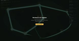 The Largest Organism
