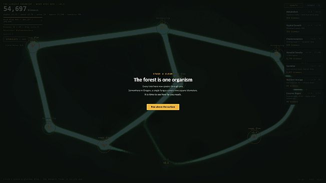 The Largest Organism