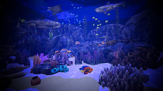 Aquarium Anomaly