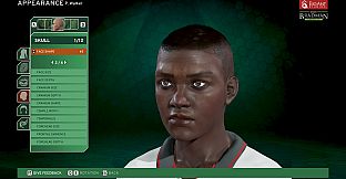 Don Bradman Cricket 17 Demo