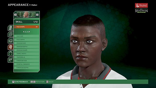 Don Bradman Cricket 17 Demo