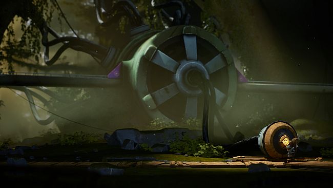 About Cannons & Sparrows