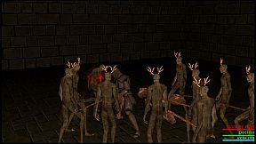 MEDIEVAL WARRIOR SIMULATOR