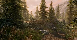 The Elder Scrolls V: Skyrim Special Edition (PC)