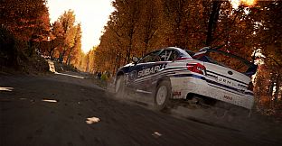 DiRT 4