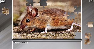 Super Jigsaw Puzzle: Generations - Random Animals 2