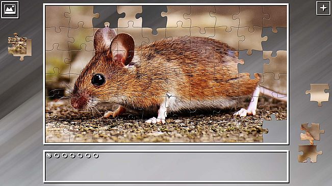 Super Jigsaw Puzzle: Generations - Random Animals 2