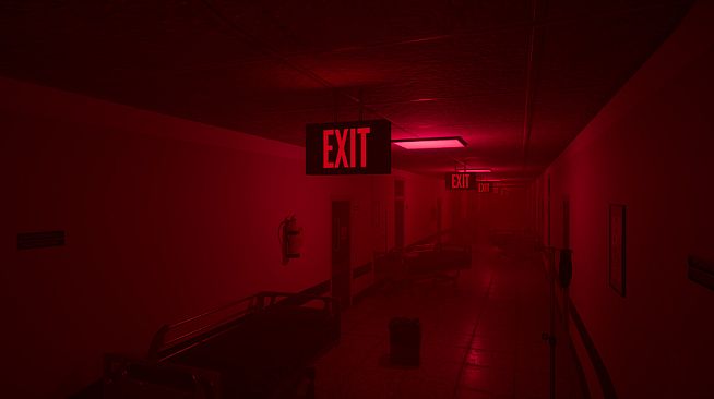 The Backrooms Deluxe