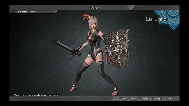 Special Costume Set/特製コスチュームセット