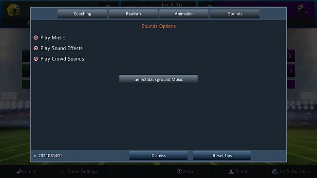 Pro Strategy Football 2021